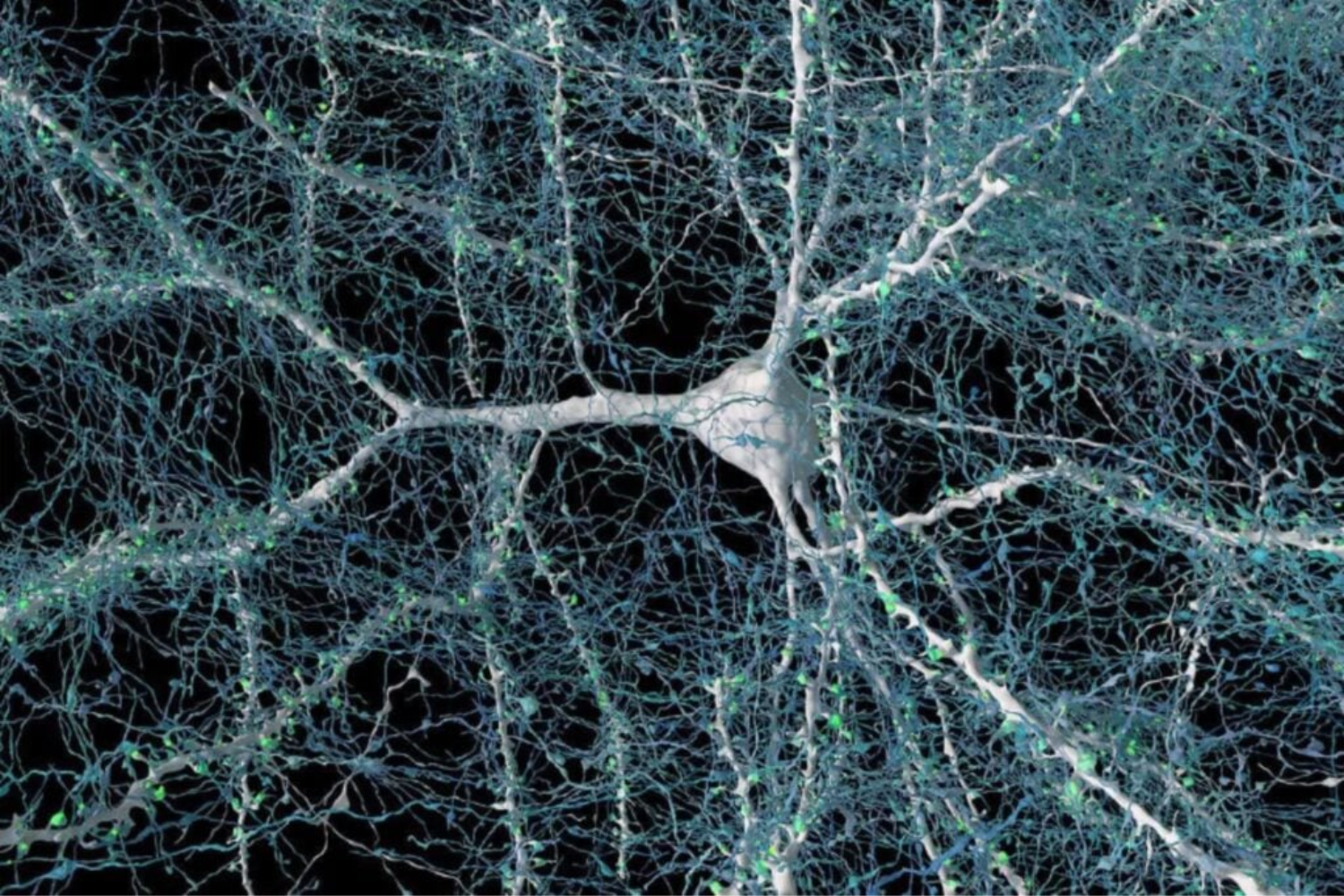 Neurônios artificiais impressos conseguem ativar células cerebrais vivas em laboratório